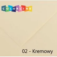 Szkolne artykuły papiernicze - Canson Karton ozdobny 150 g 50.0 x 65.0 cm kremowy 10 szt. - miniaturka - grafika 1