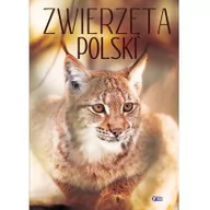 Książki edukacyjne - Fenix Zwierzęta Polski - fotografie, opisy, ciekawostki - Fenix - miniaturka - grafika 1