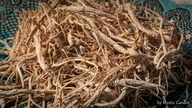 Herbata - Żeń-szeń (panax ginseng) 25 g korzeń certyfikat - miniaturka - grafika 1