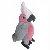 Lalki dla dziewczynek - Pluszowa Papuga KAKADU 28 cm Zoo Maskotka Ptak - miniaturka - grafika 1
