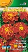 Nasiona i cebule - Aksamitka rozpierzchła Bolero 1g / L / - miniaturka - grafika 1