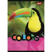 Zeszyty szkolne - St. Majewski Zeszyt A5 Exotic Colors kratka, 70 g/m2 32 kartki - miniaturka - grafika 1