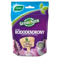 Nawozy ogrodnicze - Nawóz do rododendronów 6 miesięcy 300g saszetka Westland - miniaturka - grafika 1
