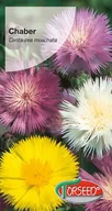 Nasiona i cebule - Nasiona Chaber jednoroczny mieszanka - Torseed - miniaturka - grafika 1