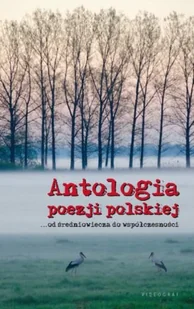 Antologia poezji polskiej. Od średniowiecza do współczesności - Poezja - miniaturka - grafika 1