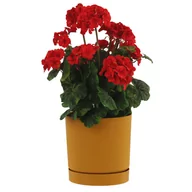 Donice - Doniczka z podstawką okrągła Ø23,9 cm matowa kolor żółty - miniaturka - grafika 1