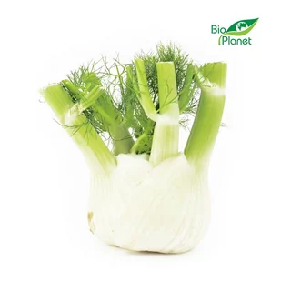 7 Kg - Opakowanie Zbiorcze (Kg) - Koper Włoski Świeży (Fenkuł) Bio (Około 7 Kg ) - Szybkie dania obiadowe - miniaturka - grafika 1