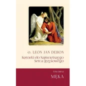 Religia i religioznawstwo - Koronki do Najświętszego Serca Jezusowego - miniaturka - grafika 1