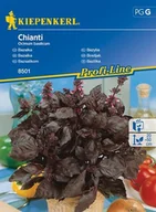 Nasiona i cebule - Kiepenkerl Bazylia Chianti Kiepenkerl 102615 - miniaturka - grafika 1
