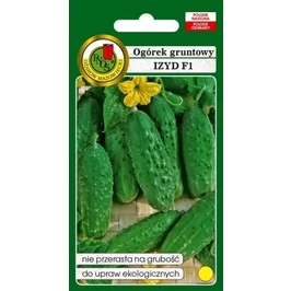 Ogórek gruntowy Izyd 5g Wczesny Plenny Odporny - Nasiona i cebule - miniaturka - grafika 1
