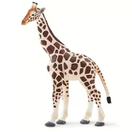 Figurki dla dzieci - Safari Ltd 100421 Żyrafa  11,6x17,9cm - miniaturka - grafika 1