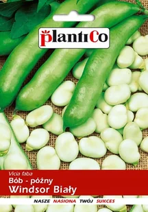 NASIONA Bób Windsor Biały 50g PLANTICO 407534 - Nasiona i cebule - miniaturka - grafika 1
