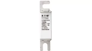 Eaton Wkładka bezpiecznikowa 125A 690V NH000 aR IAB DRIVES 170M1418 - Bezpieczniki elektryczne - miniaturka - grafika 1