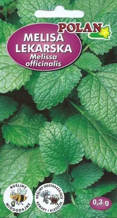 Melisa lekarska 0.3 g POLAN - Nasiona i cebule - miniaturka - grafika 1