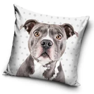 Poszewki na poduszki - CX Poszewka Pies PD195007 DOG 40x40 cm 14711 - miniaturka - grafika 1