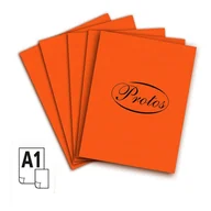 Szkolne artykuły papiernicze - Protos brystol kolorowy A1 pomarańczowy 160g 594x841 - miniaturka - grafika 1