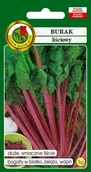 Nasiona i cebule - BURAK LIŚCIOWY RHUBARB CHARD NASIONA BEZ GMO 3g - miniaturka - grafika 1