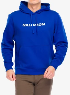 Bluza Salomon Logo Perf HD - surf the web - Bluzy sportowe męskie - miniaturka - grafika 1