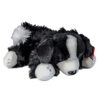 Maskotki i pluszaki - Pies Border Collie 30cm - Anek - miniaturka - grafika 1
