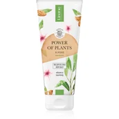 Balsamy i kremy do ciała - Lirene Power of Plants Odżywczy Balsam do ciała Almond Cream 200 ml - miniaturka - grafika 1