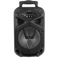 Power audio - Trevi XF 300 Max - miniaturka - grafika 1