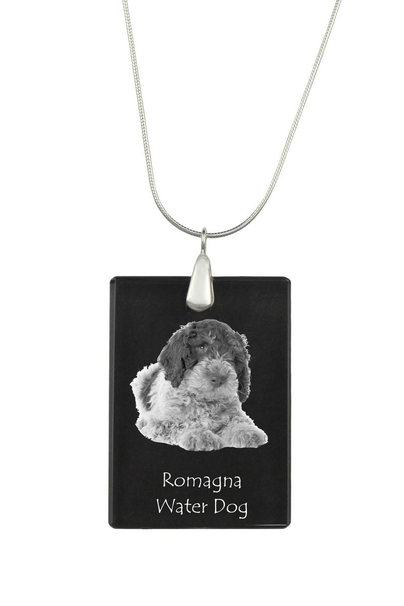 Romański pies wodny - kryształowa zawieszka z psem, srebrny naszyjnik ze zdjęciem, personalizowany wisiorek marki Art-Dog