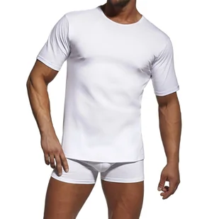 Koszulka Authentic 202 New biała Cornette-4XL - Koszulki męskie - miniaturka - grafika 1