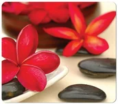 Podkładki pod mysz - PODKŁADKA POD MYSZ FELLOWES SPA - miniaturka - grafika 1