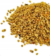 Miód - Pyłek kwiatowy pszczeli z pasieki - miniaturka - grafika 1