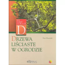 Natalis Drzewa liściaste w ogrodzie - Poradniki hobbystyczne - miniaturka - grafika 1