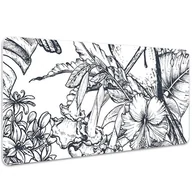 Podkładki na biurko - Mata z nadrukiem na biurko Rysowane ptaki 100x50 cm, Dywanomat - miniaturka - grafika 1