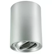Lampy sufitowe - Valse tuba natynkowa regulowana srebrna downlight - miniaturka - grafika 1