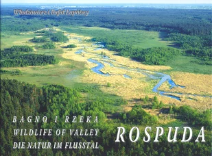 Rospuda. Bagno i Rzeka - Albumy krajoznawcze - miniaturka - grafika 1