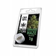 Zioła - Hasz Amnesia Haze 10% CBD Plant Of Life - miniaturka - grafika 1