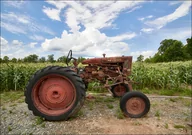 Plakaty - Vintage tractor beside a cornfield near in Habersham County, Georgia, Carol Highsmith - plakat 40x30 cm - miniaturka - grafika 1