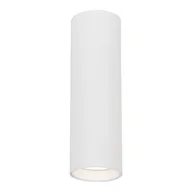 Lampy sufitowe - GENESIS SPOT WHITE 1xGU10 20cm - miniaturka - grafika 1