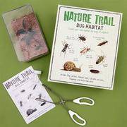 Mały naukowiec - Rex London Domek pojemnik na owady Zrób To Sam - miniaturka - grafika 1