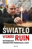 Pamiętniki, dzienniki, listy - Światło wśród ruin. Wstrząsające świadectwo... - Gabriel Romanelli, Guillaume de Dieuleveult - książka - miniaturka - grafika 1