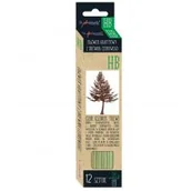 Ołówki - St. Majewski Ołówki z drewna cedrowego HB CedrLove St - miniaturka - grafika 1