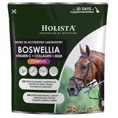 Pasze dla zwierząt - HolistaEquine Boswellia Seratta Complex 500g - miniaturka - grafika 1