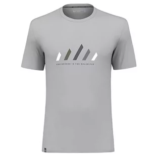 Salewa Męski T-Shirt Pure Stripes Dry M - Koszulki męskie - miniaturka - grafika 1
