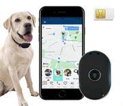 Odblaski i adresówki - CALMEAN Pet Tracker MINI + obroża L/XL + karta SIM - miniaturka - grafika 1