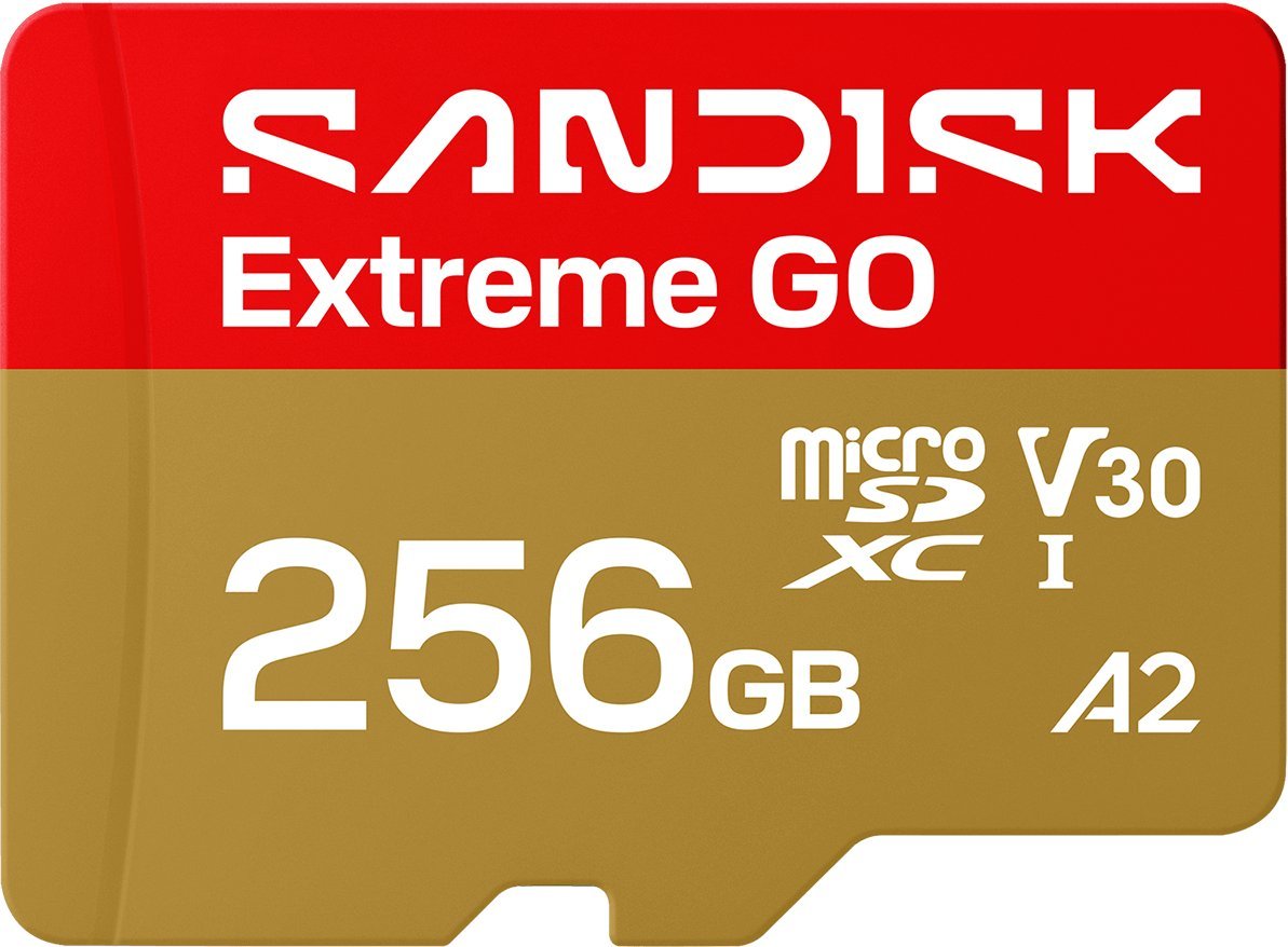 Karta SanDisk MicroSD UHS-I 256GB MicroSD SDSQXGN-256G-GN6MN