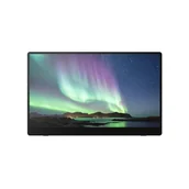 Monitory - Ricoh 150BW Przenośny Czarny 15.6" LED FHD - miniaturka - grafika 1