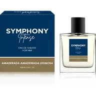 Wody i perfumy męskie - MELODY MEN SYMPHONY INTENSE Woda toaletowa 100ml - miniaturka - grafika 1