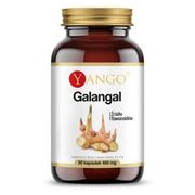 Suplementy naturalne - YANGO Yango Galangal 90 k źródło flawonoidów YA0152 - miniaturka - grafika 1