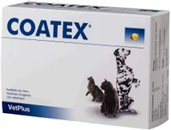 Suplementy i witaminy dla psów - COATEX pies/kot choroby skóry i sierści 60 kapsułek 47934-uniw - miniaturka - grafika 1