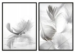 Plakaty w ramie E-DRUK Dyptyk Pióra, 53x73 cm - Plakaty - miniaturka - grafika 1
