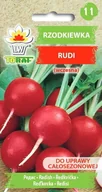 Nasiona i cebule - Rzodkiewka Rudi (Czerwona Odm. Enza Zaden, Wczesna) Raphanus Sativus L. - miniaturka - grafika 1
