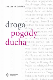 Wydawnictwo Św. Wojciecha Droga pogody ducha - Jonathan Morris - Religia i religioznawstwo - miniaturka - grafika 2